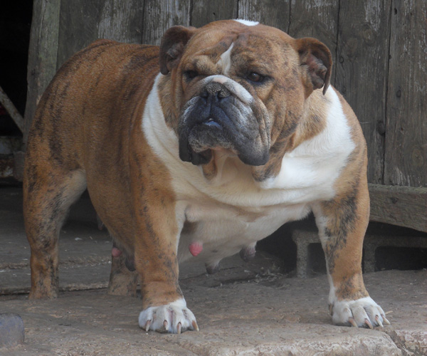 Paint it black Tea for two